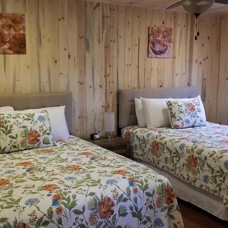 Bluff Gardens Guest House Ngoại thất bức ảnh